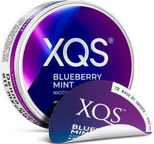 XQS Blueberry Mint 4MG