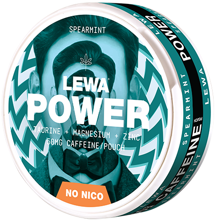 Lewa Power Spearmint – Snusbox