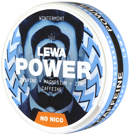 Lewa Power Wintermint – Snusbox