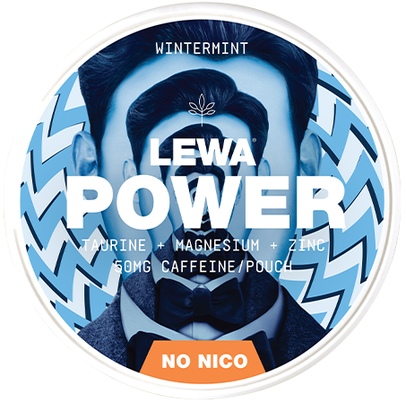 Lewa Power Wintermint – Snusbox