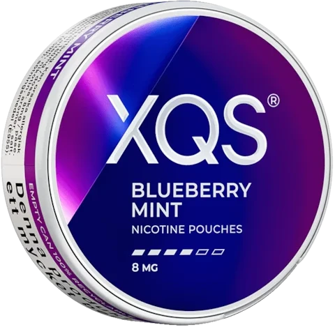 XQS Blueberry Mint 8MG-Nicotine Pouches-SnusBox