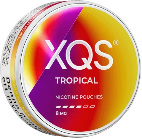 XQS Tropical 8MG-Nicotine Pouches-SnusBox