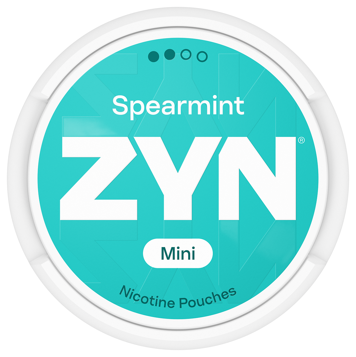 ZYN Spearmint Mini Dry S2