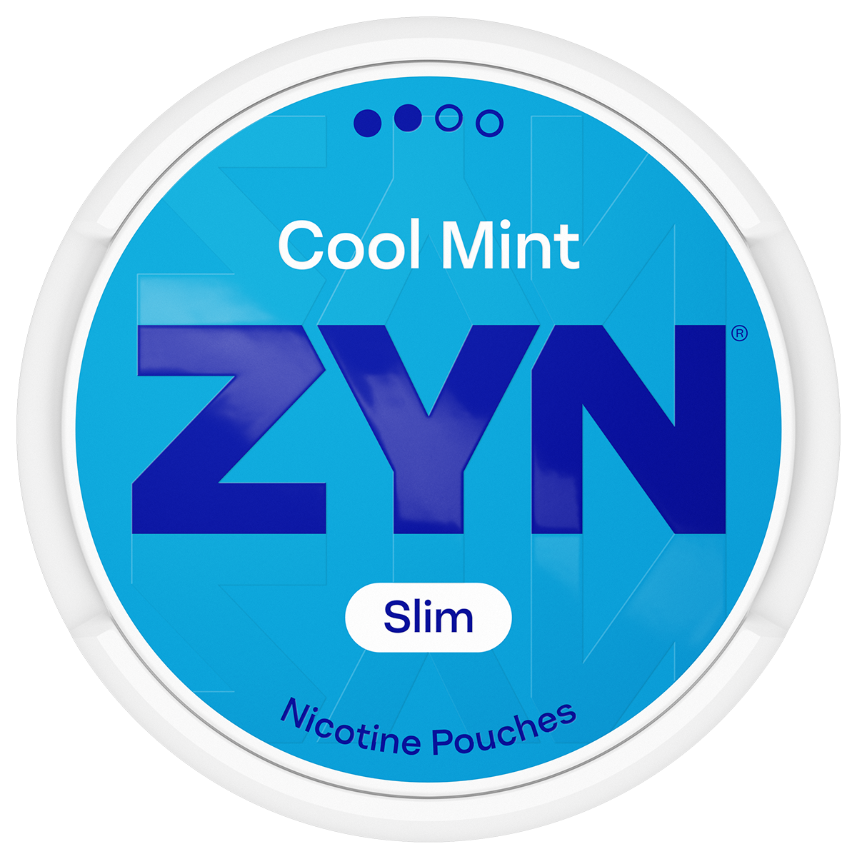 ZYN Cool Mint Mini Dry S2