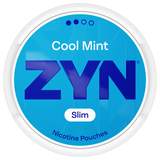 ZYN Cool Mint Mini Dry S2