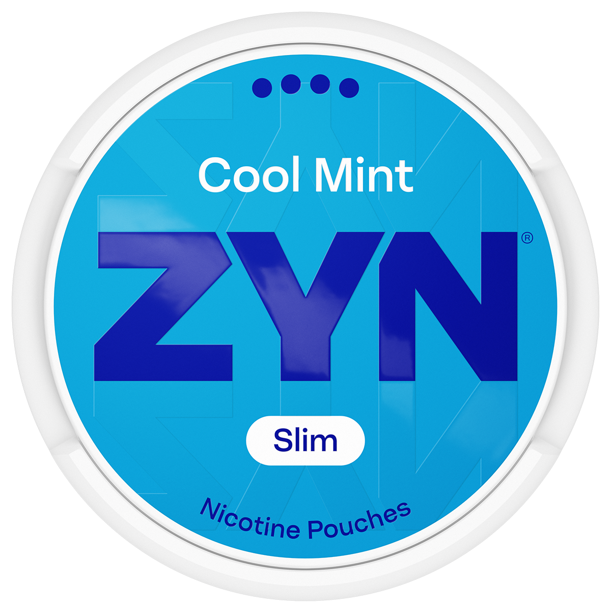 ZYN Cool Mint Mini Dry S4