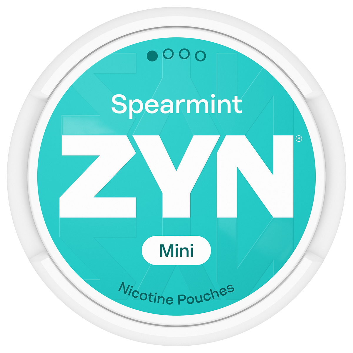 ZYN Spearmint Mini Dry S1