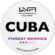 Cuba White Forest Berries-Nicotine Pouches-SnusBox
