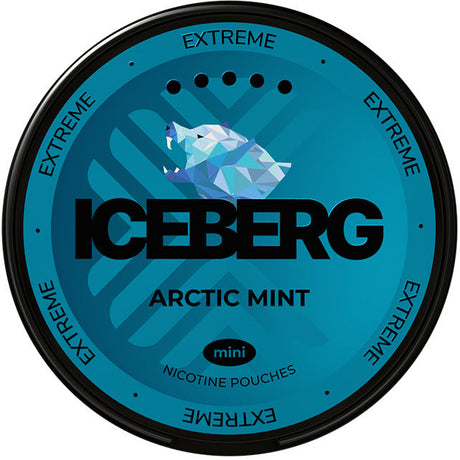 Iceberg Arctic Mint Mini-Nicotine Pouches-SnusBox.eu