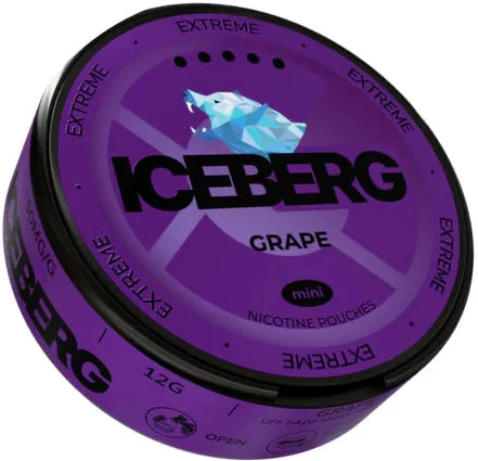 Iceberg Grape Mini-Nicotine Pouches-SnusBox.eu