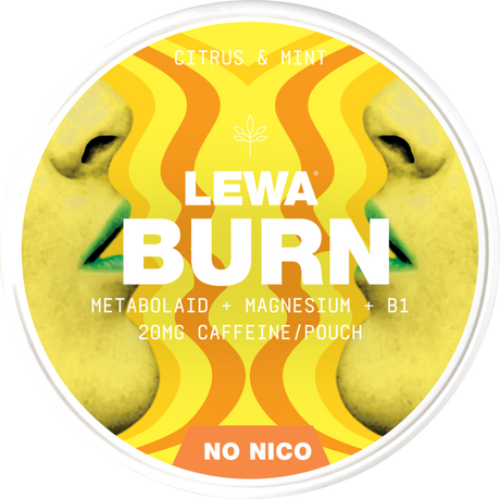 Lewa Burn Citrus & Mint – Snusbox
