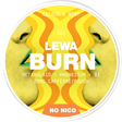 Lewa Burn Citrus & Mint – Snusbox