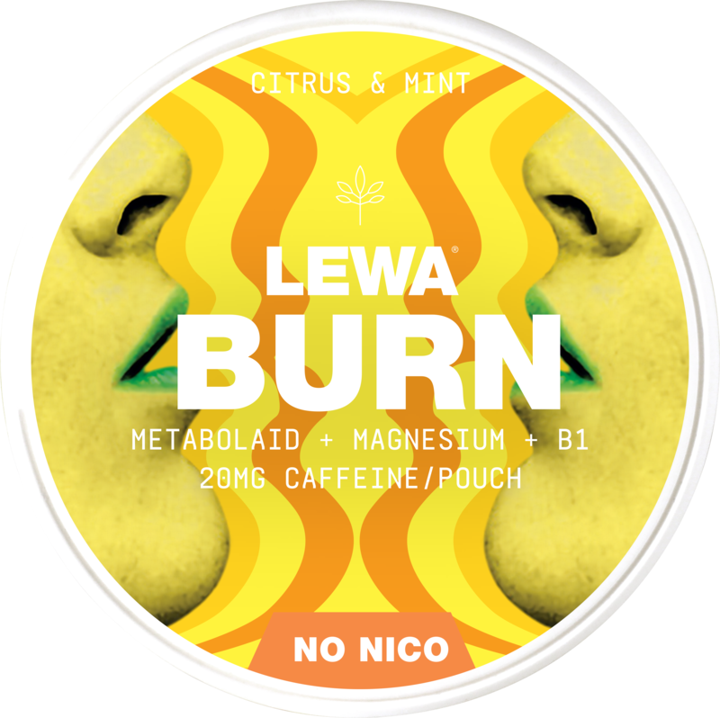 Lewa Burn Citrus & Mint – Snusbox