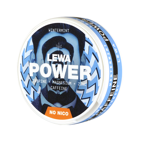 Lewa Power Wintermint – Snusbox