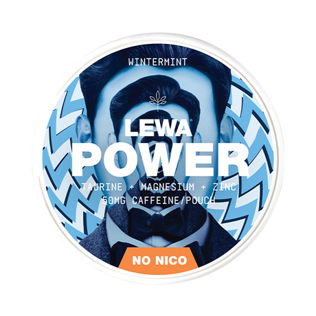 Lewa Power Wintermint – Snusbox