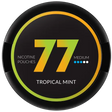 77 Tropical Mint