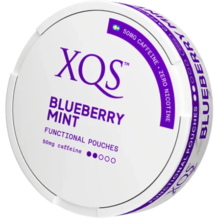XQS Blueberry Mint nicotine free
