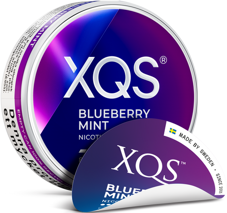 XQS Blueberry Mint Light – Snusbox
