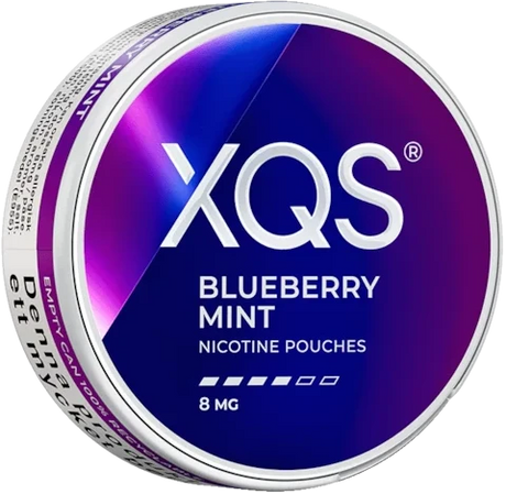 XQS Blueberry Mint 8MG-Nicotine Pouches-SnusBox
