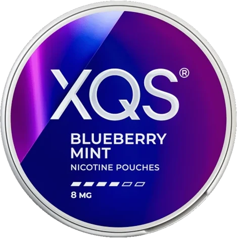 XQS Blueberry Mint 8MG-Nicotine Pouches-SnusBox
