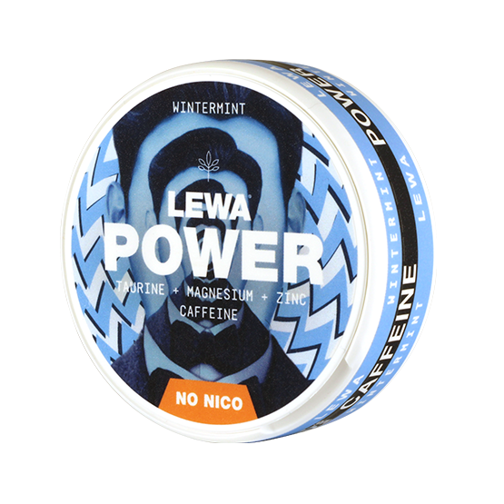 Lewa Power Wintermint – Snusbox