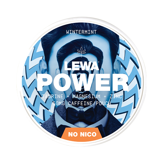 Lewa Power Wintermint – Snusbox