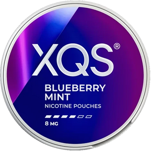 XQS Blueberry Mint 8MG